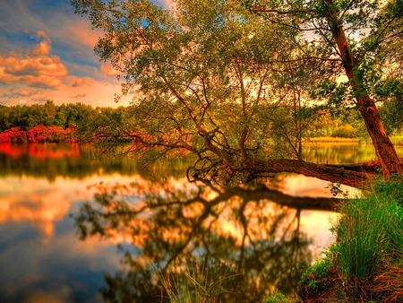 Fall reflection - sky, autumn, lake, nature, fall, reflection, beautiful, clouds, tree, pond