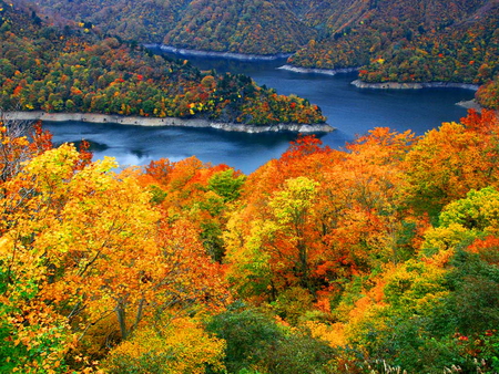 River in the fall - autumn, trees, mountain, water, colorful, nature, fall, beautiful, island, penunsula