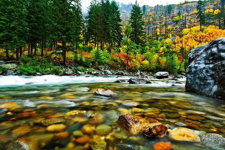 Forest water stream - mountain, water, summer, creek, rocks, nature, fall, forest, beautiful, water stream, stones