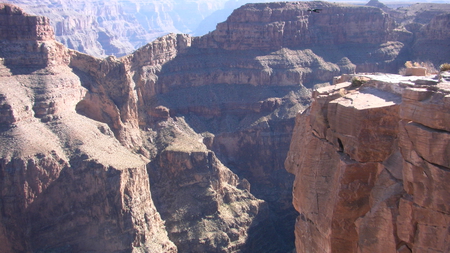 Eagle Point Grand Canyon - eagle, grand, nature, canyon