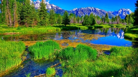 Scenic - fields, trees, landscape, water, mountains, nature, view, forest, beautiful, splendor, green