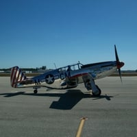 P51 Mustang - Betty Jane