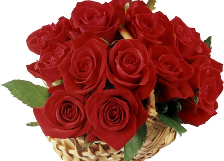 Basket of roses - beauty, roses, gift, soft, tenderness, basket, bouquet, red, petals, beautiful, leaves, green, red roses