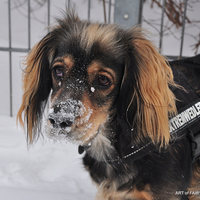 SARA IN THE SNOW