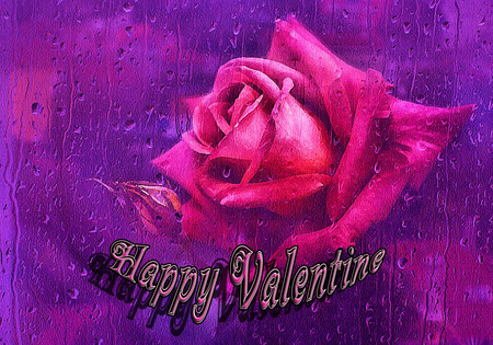 Happy Valentine - valentine, rose, happy valentine, happy