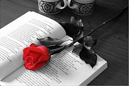 romantic story - story, red, book, romantic