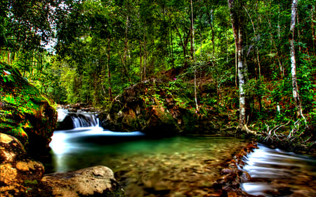 Waterfall - beauty, trees, peaceful, water, stream, waterfall, fall, view, river, green, tree, grass, lovely, nature, woods, forest, beautiful, leaves, splendor, stones