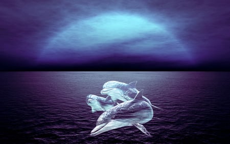 Forever free - freedom, ocean, dream, fantasy, purple, abstract, blue, dolphins, sea