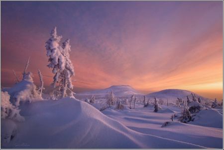 winter sunset - winter, sunset, nature, beautiful, snow