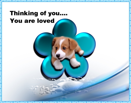 You are loved - comfort, blue, puppies, love, animals, life