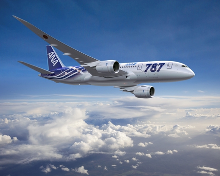 ANA Boeing 787 First Delivery Special Livery - aircraft, 787, boeing, dreamliner