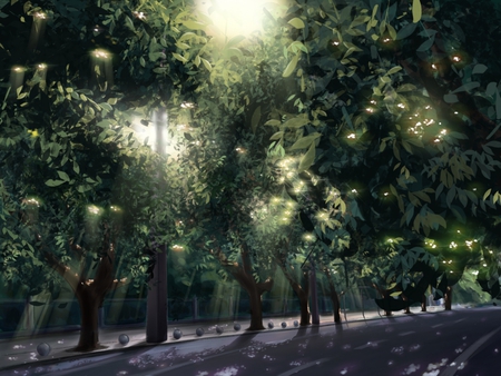 road with trees - anime, wallpaper, road, other