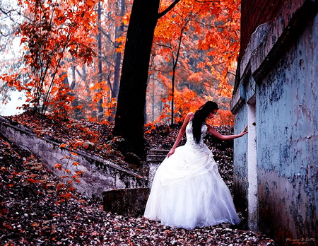 Few minutes apart - apart, bride, trees, minutes, few, wedding, girl, alone, forest, leaves, white dressed, lady, autumn, woman, loneliness, brunette