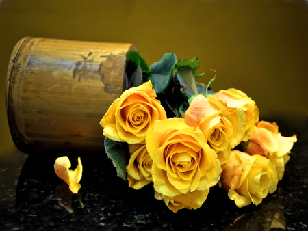 Beautiful yellow roses - nice, nature, pretty, yellow, roses, flowers, lovely, harmony