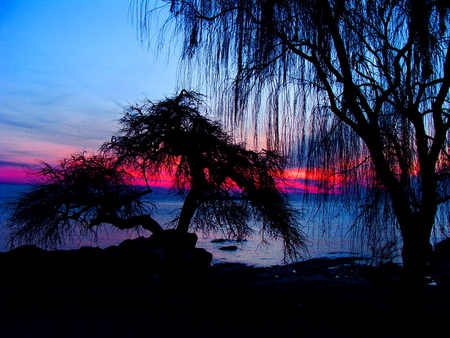 At dusk - trees, water, blue, beach, evening, sea, colors, night, willow, sunset, nature, lake, dusk