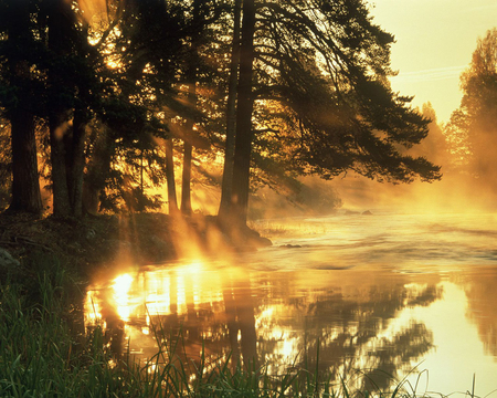 SUNSET ON THE RIVER - river, trees, sunset, nature