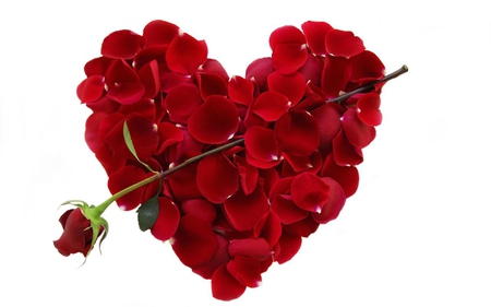 Rose heart - love, heart, red, rose, flower