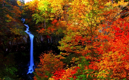 AUTUMN FALLS - waterfalls, forest, nature, autumn