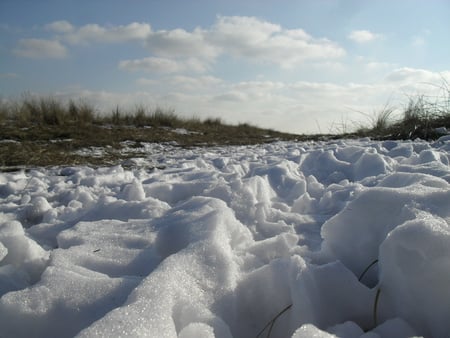 February Snow - snow, february, cold, white