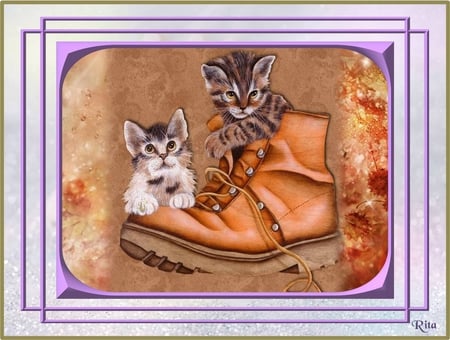 TWO KITTENS IN A BOOT - boot, two, framed picture, kittens