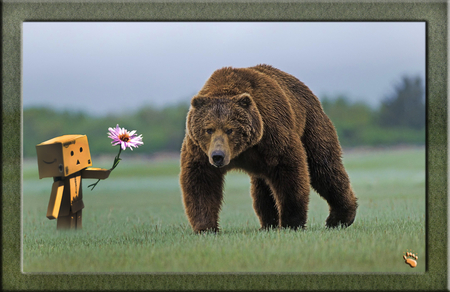 Danbo & Grizzly - bear, nature, grizzly, technology, flower, danbo, animals