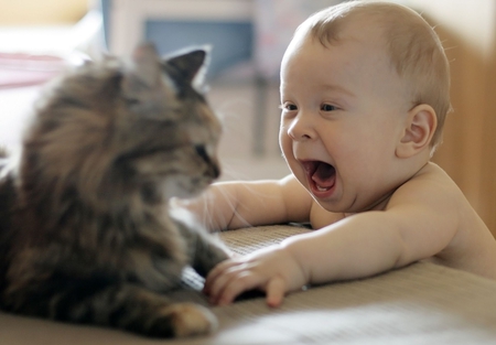 Not Scared Yet ? - funny, faces, baby, scared, cat