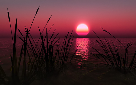 Raspberry Sunset - lake, sky, sundown, sun, water, sunset, nature, raspberry, weeds, reflection, beautiful, pink