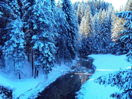 frozen landscape - river, trees, frozen, nature, blue, forest