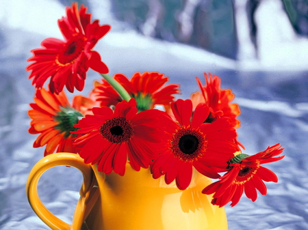 Red gerberas - nice, gerberas, still life, lovely, nature, pretty, red, beautiful, harmony, flower