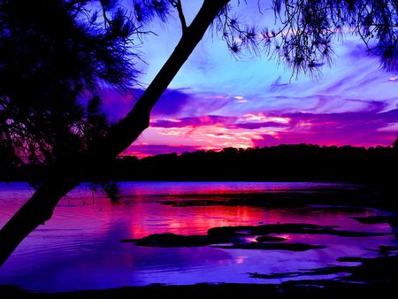 At dusk - clouds, water, sundown, sea, colors, ocean, tree, colorful, sunset, dusk, sky