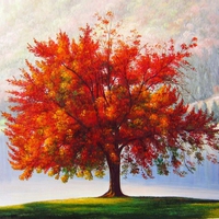 The autumn tree