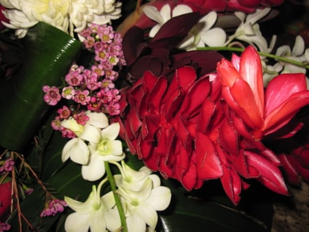 Bouquet of flowers 07 - white, red, jasmine, flowers, bouquet, photography, green