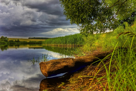 Lush Landscape - reflections, clouds, detailed, beautiful, grass, simple