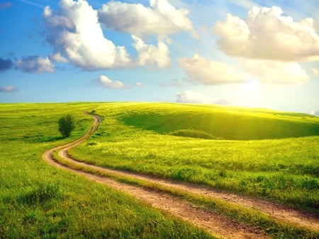 Landscape - sky, field, grass, path