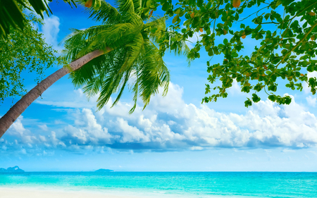 Beach - resorts, sky, beach, tropics, fluffy, water, amazing, cloud, clouds, tropic, sand, resort, maldives, palm tree, palms, summer, tropical, palm, heaven, nature, blue, sea