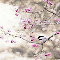 Bird with flowers.