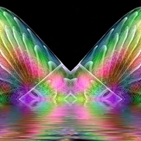 BUTTERFLY ABSTRACT