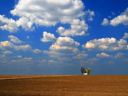 The Field - landscape, open space, nature, fields