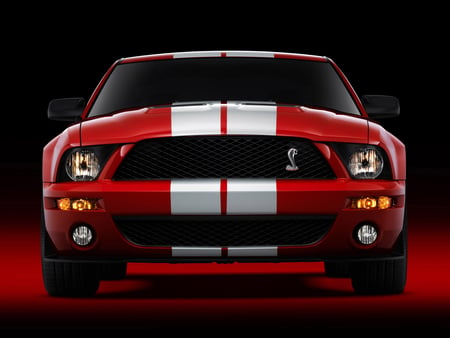 ford shelby gt500