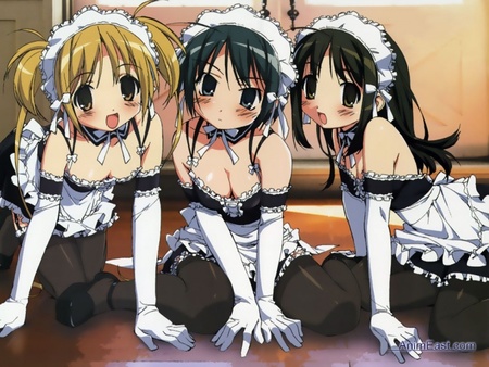 At Your Service - anime, girls, maids