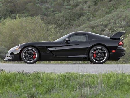 Dodge Viper Venom 2008 - special edition, venom, 2008, dodge, viper