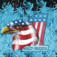 Harley-Davidson no 1 USA