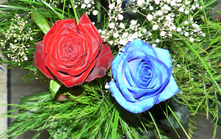 Two Roses - wide screen, blue, red