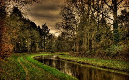 lake - clouds, trees, wds, lake, forest, sky