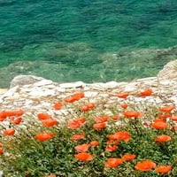 	Aliki beach Zakynthos