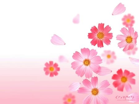 Pink LOVE - flowers, 3d wallpaper, love