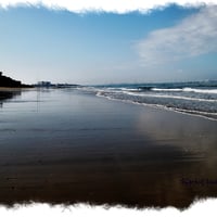 A morning on the beach