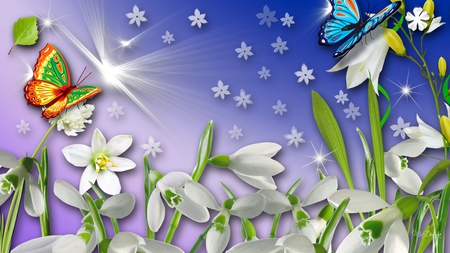 Snowdrops and Light - blossoms, snow, blooms, snowdrops, flowers, spring, butterflies