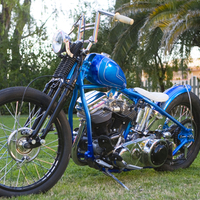 Panhead Blues