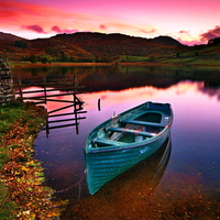 Boat in the river